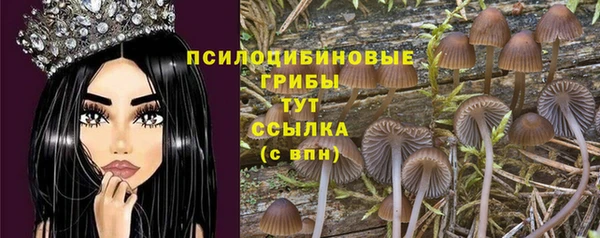 прущие крисы Алексеевка